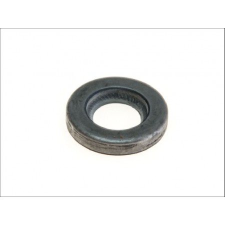 Bague d'etancheite pompe d'assistance XJ 2.5 L 87-96